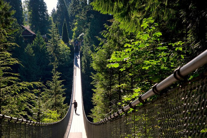 Vancouver Tour: Stanley Park, Granville Island & Capilano Bridge - What the guide adds to the ride