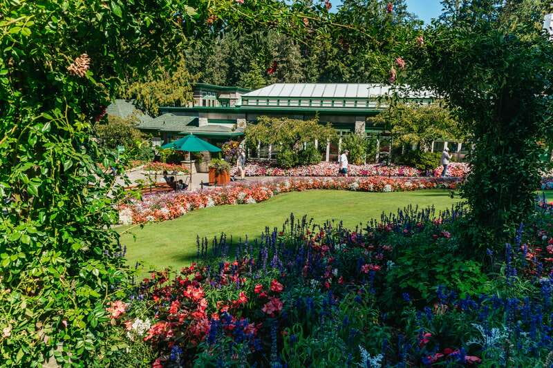 Vancouver: Victoria, Gulf Islands Cruise, & Butchart Gardens - The drive into Victoria and the Inner Harbour