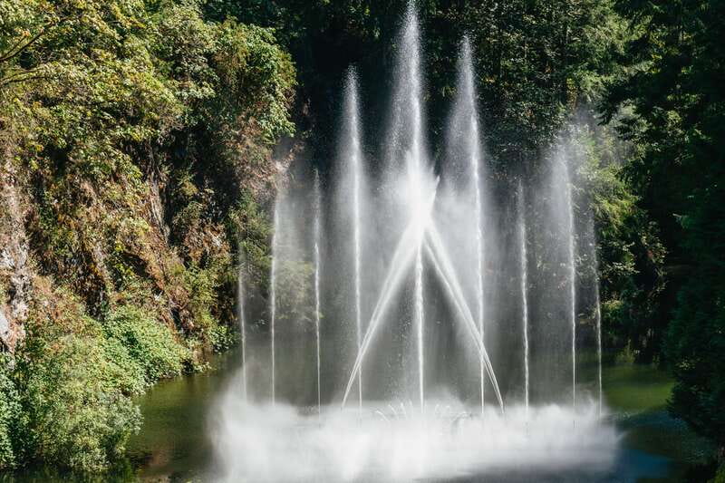 Vancouver: Victoria, Gulf Islands Cruise, & Butchart Gardens - What the guides add to the day
