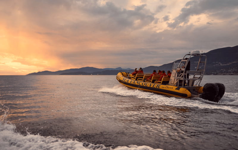 Vancouver: Waterfront Sightseeing Tour - City and Harbour - Kitsilano Beach and Spanish Banks
