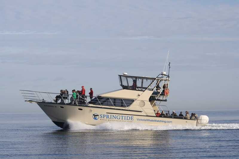 Victoria: 3-Hour Whale Watching Tour - A boat built for changing weather
