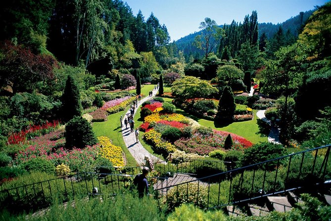 Victoria & Butchart Gardens Tour with Ferry from Vancouver - The morning ride to Tsawwassen