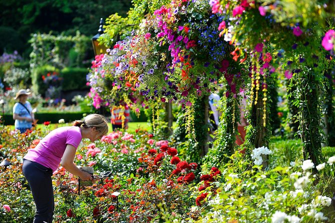 Victoria & Butchart Gardens Tour with Ferry from Vancouver - How the $228.01 price measures up