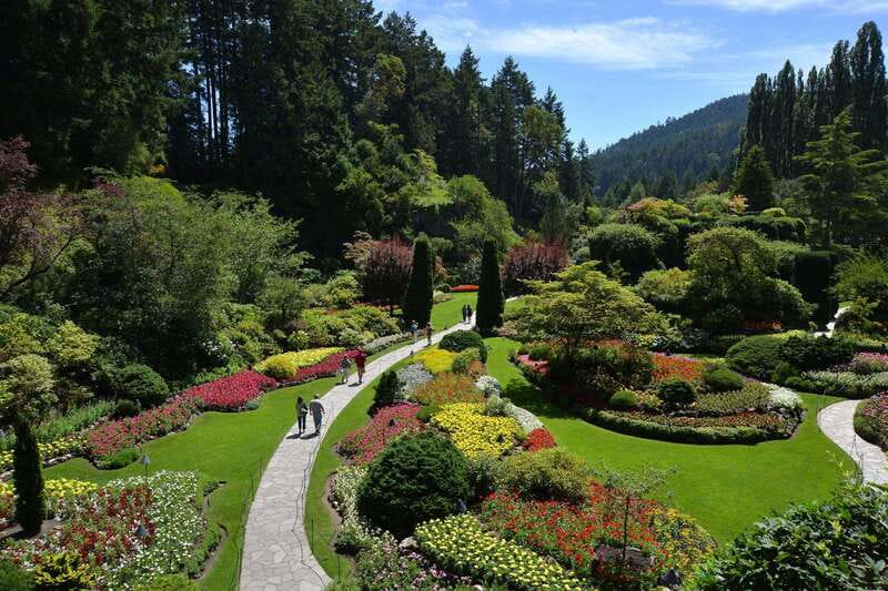 Victoria: City Highlights and Butchart Gardens Tour - Beacon Hill Park and Victoria’s first impressions