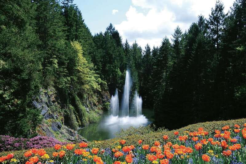 Victoria: City Highlights and Butchart Gardens Tour - Starting at the Experience Victoria Store