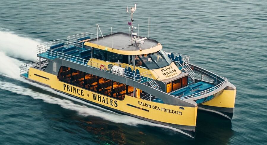 Victoria: Covered Whale Watching Adventure with Free Photos - Free photographs and the value of $149