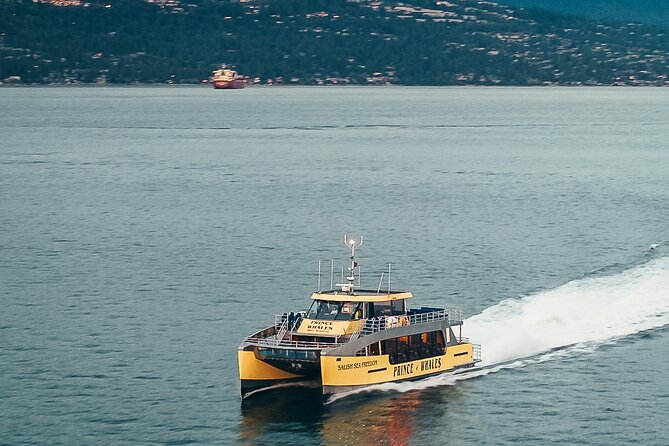Victoria Half-Day Whale Watching Adventure with Free Photos - Searching the Strait of Juan de Fuca for whales