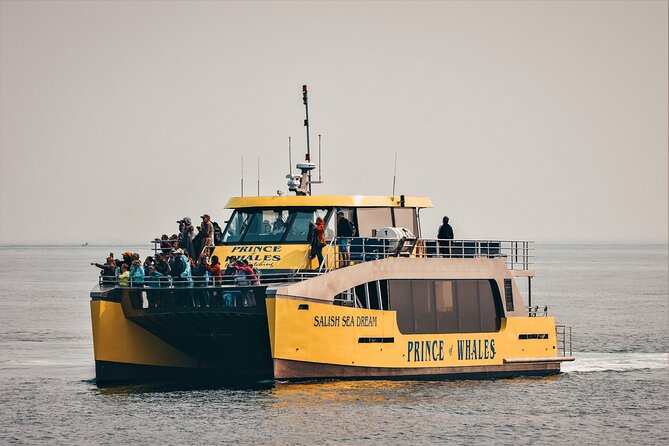 Victoria Half-Day Whale Watching Adventure with Free Photos - Staying warm on the Salish Sea