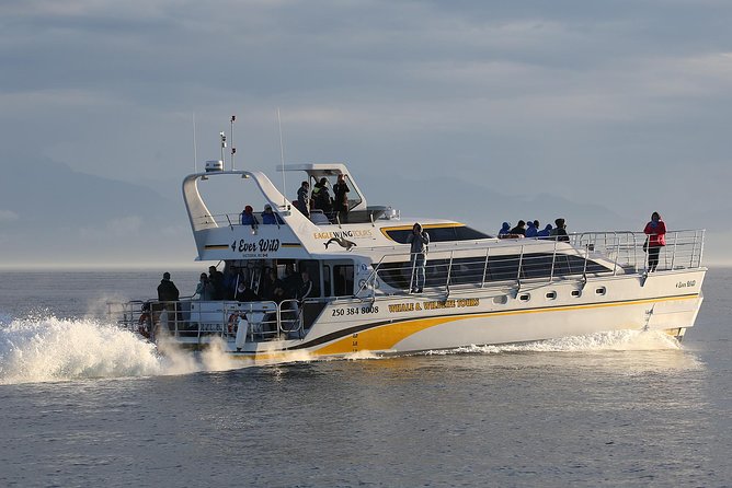 Victoria Marine Wildlife Tour - Three hours of searching the coastal waters