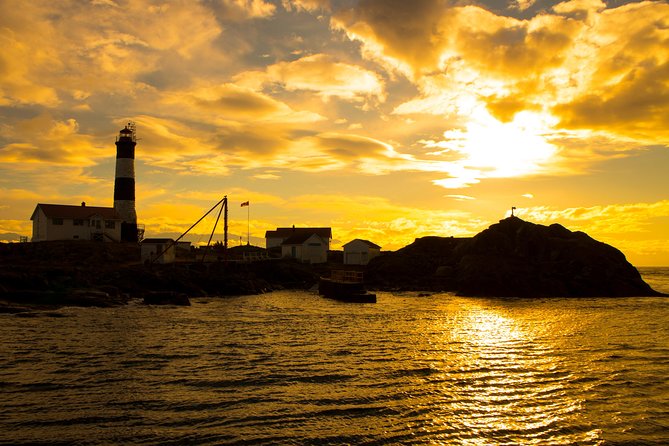 Victoria Sunset Whale-Watching Cruise - The return into Victoria harbor