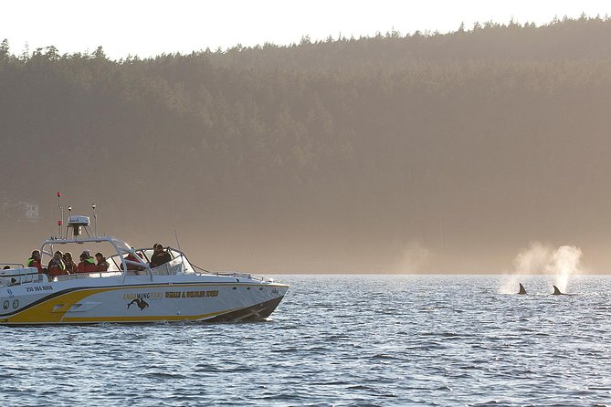 Victoria Whale and Wildlife Cruise - Setting out from Dallas Road