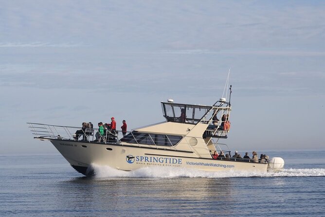 Victoria Whale Watch Tour - Leaving Victoria’s Inner Harbour on the SpringTide