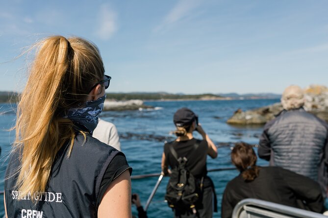 Victoria Whale Watch Tour - Should you book the Victoria Whale Watch Tour?