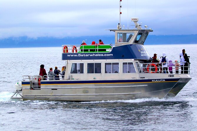 Victoria Whale Watching Cruise with Expert Naturalists - Key points to know before booking
