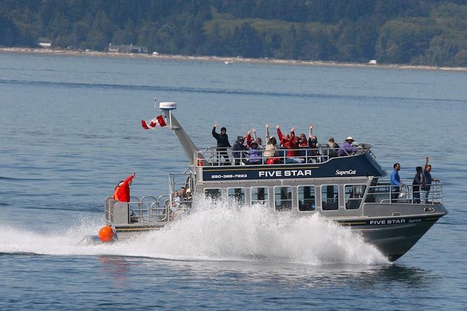 Victoria Whale Watching Cruise with Expert Naturalists - Heading out from 645 Humboldt Street