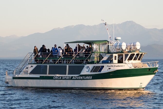 Victoria Whale Watching Tour on a Covered Vessel - More than whales: sea lions, otters, eagles, and seabirds