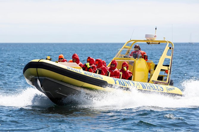 Victoria Zodiac Boat Whale Watching Adventure - Seating, sight lines, and the real ride