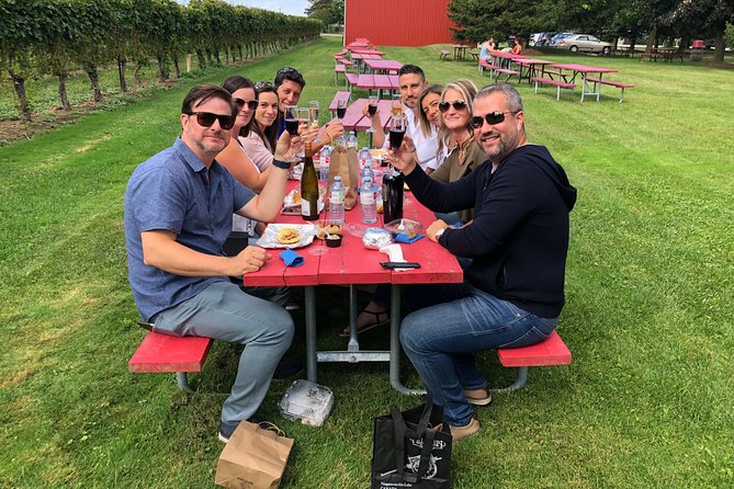 Vine and Dine Bicycle Wine Tour with Lunch - Picnic lunch and a practical pause