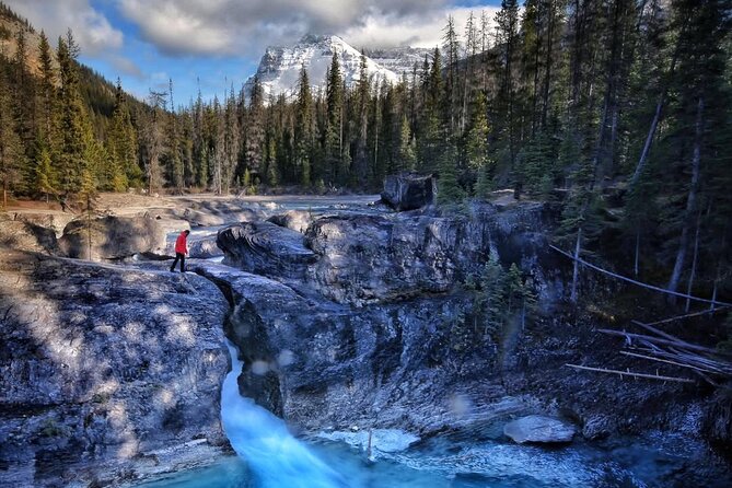 Waterfalls, Lakes & Hidden Gems – Yoho Adventure from Calgary - Is $298 a fair price?