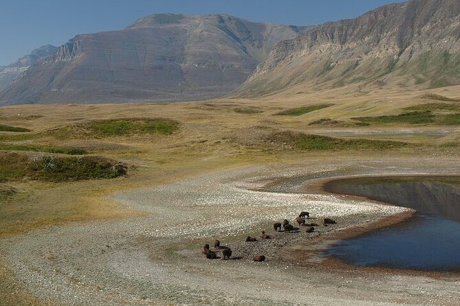 Waterton-Glacier International Peace Park | Be a Wildflower - What makes Jerzy’s guiding style useful