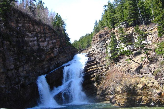 Waterton Lakes National Park Scenic Day Tour from Calgary - The Buffalo Paddock and the limits of wildlife viewing