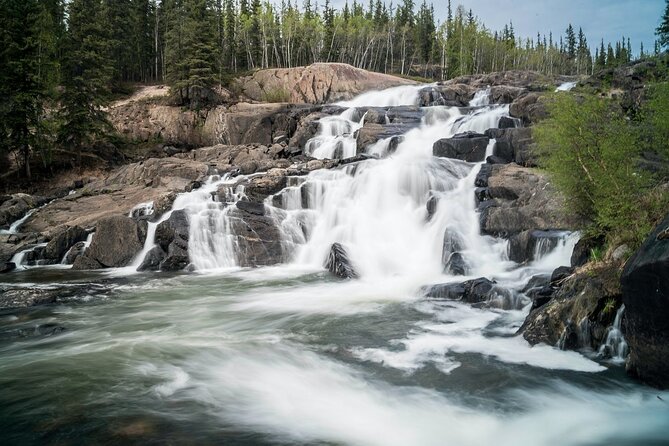 Waterton Lakes National Park Scenic Day Tour from Calgary - What the CAD 163.89 price really covers