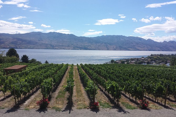 West Kelowna Gallery Of Grapes Wine Tour - Five wineries without a designated driver
