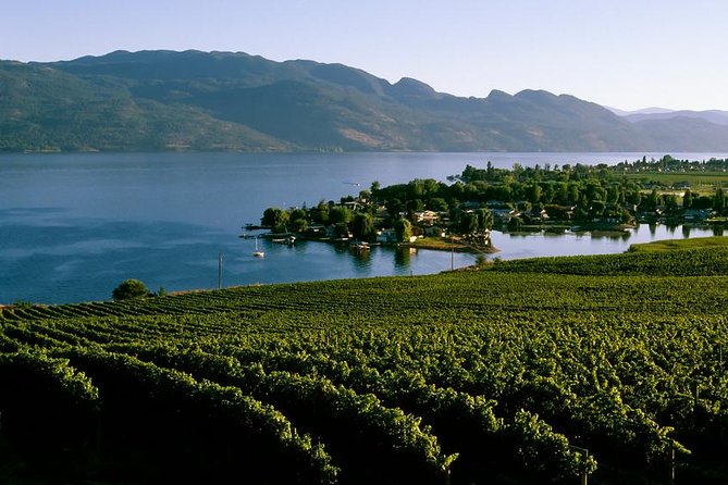 West Kelowna Wine Tour - Classic - 4 Wineries - Key points at a glance