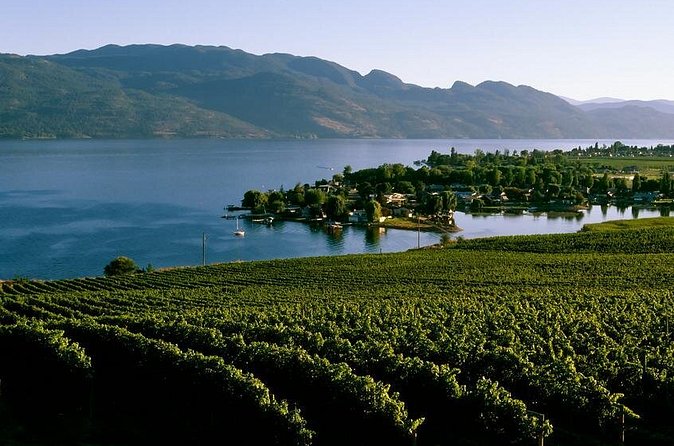 West Kelowna Wine Tour - Classic - 4 Wineries - Who will get the most from this West Kelowna tour