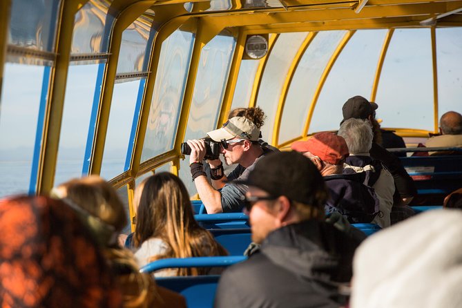 Whale-Watching Tour from Vancouver - What the $157.09 Price Really Buys