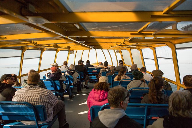 Whale-Watching Tour from Vancouver - Timing, Weather, and Cancellation Rules