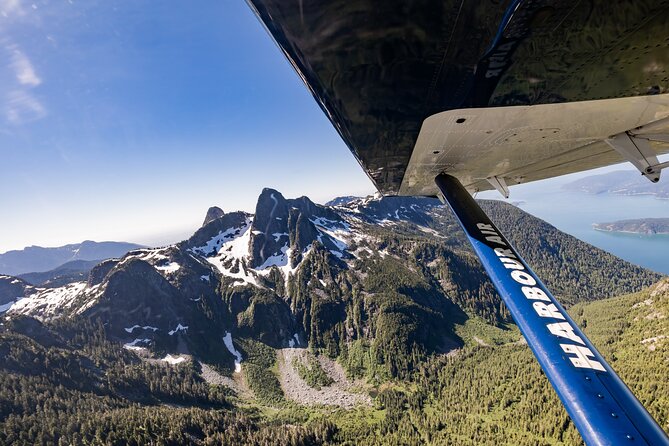 Whistler Glacier Spectacular: Scenic Seaplane Sightseeing Tour - What the ride feels like in the air