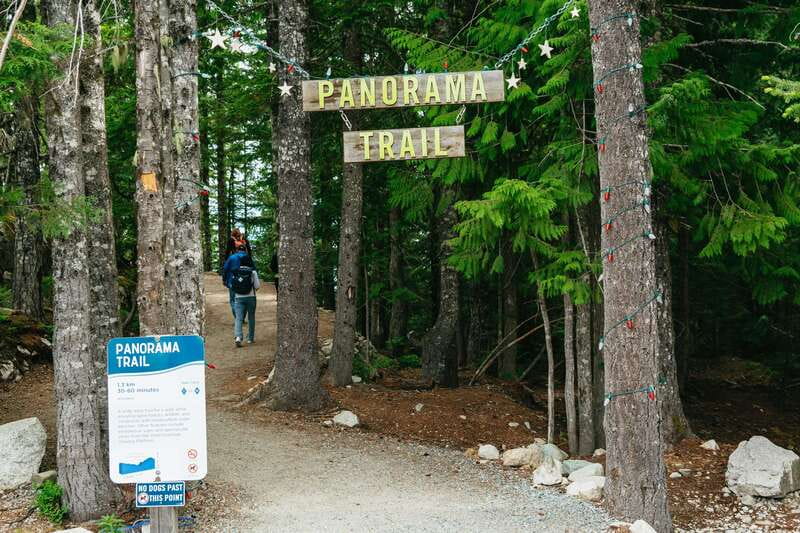 Whistler, Sea to Sky Gondola, and Shannon Falls Day Trip - Who should book this 10-hour outing?
