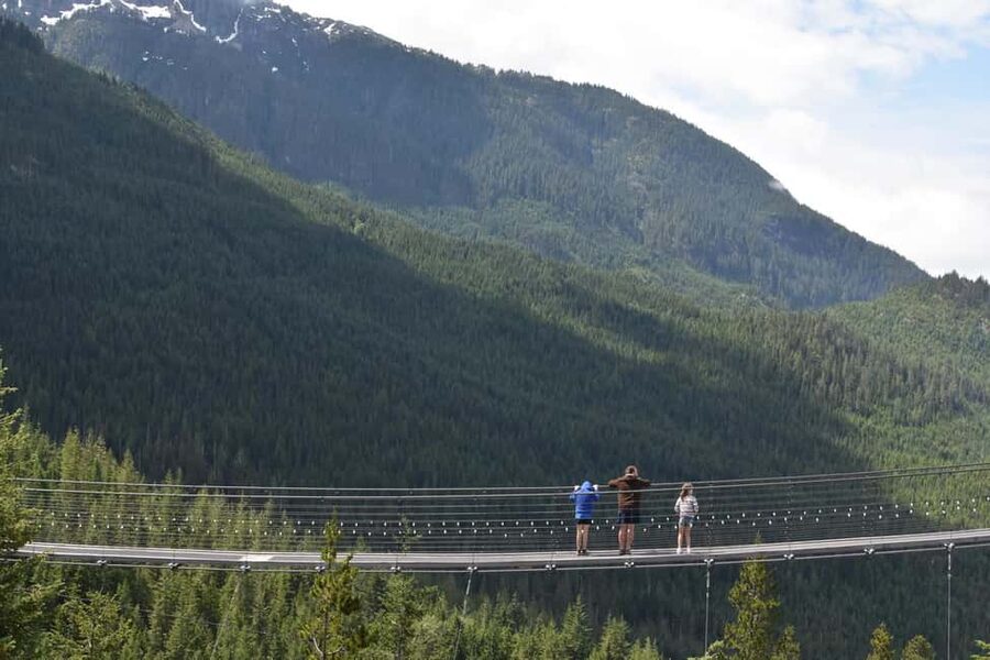 Whistler, Sea to Sky Gondola, and Shannon Falls Day Trip - Shannon Falls: a quick look at a 335-metre waterfall