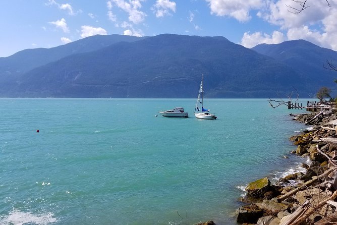 Whistler Sightseeing Tour from Vancouver: See Horseshoe Bay and Shannon Falls - Choosing a Whistler activity without overloading the day