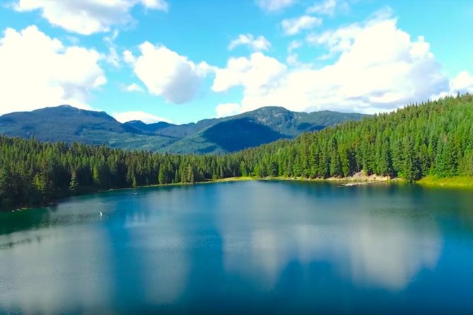 Whistler Sightseeing Tour from Vancouver: See Horseshoe Bay and Shannon Falls - Shannon Falls and a short walk into the forest