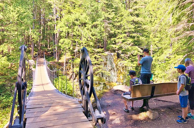 Whistler Train Wreck, Suspension Bridge & Hidden Waterfall Adventure - What the Price Includes in Practical Terms