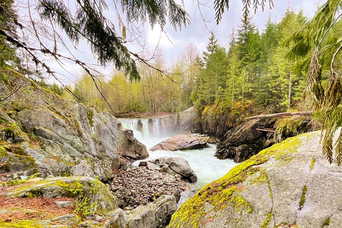Whistler Train Wreck, Suspension Bridge & Hidden Waterfall Adventure - The Second Hour: Cheakamus River and Suspension Bridge