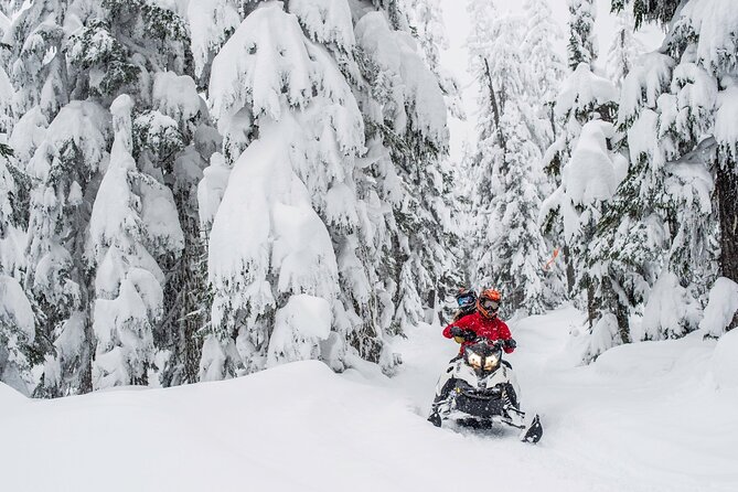 Whistler Wilderness Run Snowmobile Tour - What the CA$236.25 price really covers