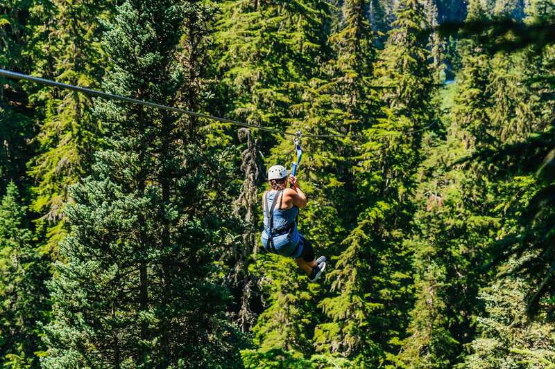 Whistler: Ziplining Experience - Four treetop bridges add a slower rhythm