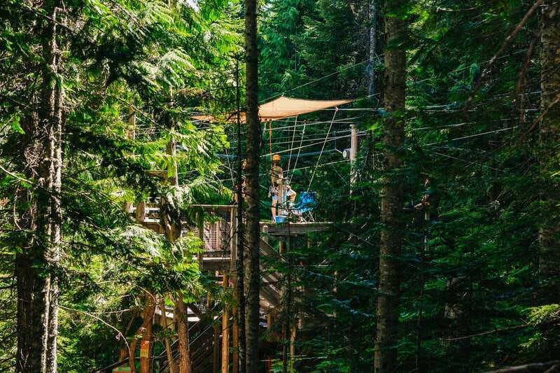 Whistler: Ziplining Experience - Finishing at the base of the mountain