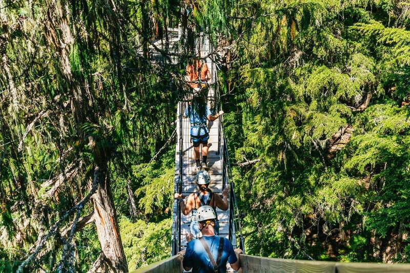 Whistler: Ziplining Experience - Should you book the Whistler ziplining experience?