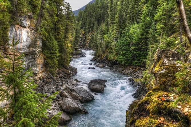Whitewater Rafting on Jasper's Fraser River - Key points before you book