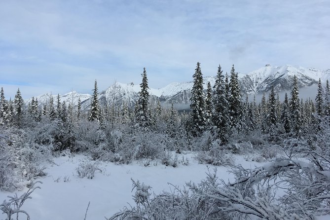 Wilderness and Wildlife Hiking Tour - 3hr Hike - What the guiding adds to a three-hour walk