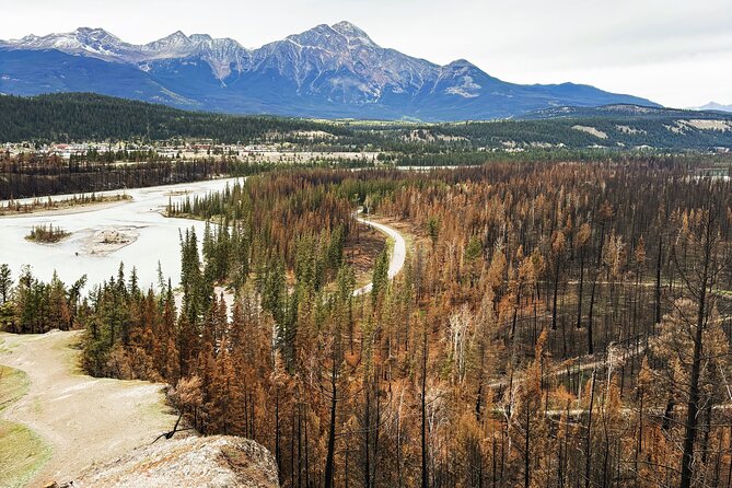 Wildfire Peak Nic - Key points to know before you book