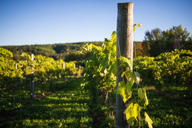 Wine and Lunch Escape - Leaving Halifax for the Annapolis Valley