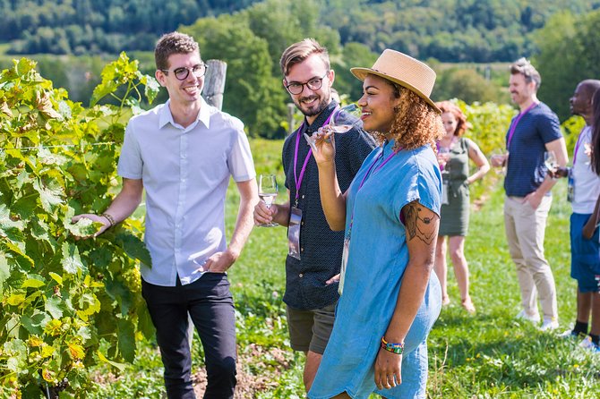 Wine and Lunch Escape - Three winery stops, three different personalities