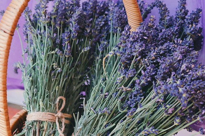 Wine Tasting and lavender Farm Tours - Pickup from Niagara Falls or Niagara-on-the-Lake