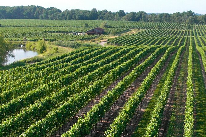 Wine Tour in Niagara-on-the-Lake - Four wineries, one clear taste of Niagara