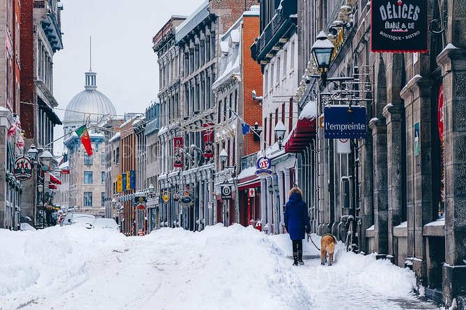 Winter Express: Old Montreal Highlights Walking Tour - Indoor stops when the cold bites